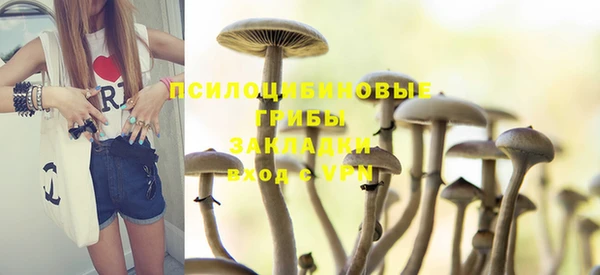 гашик Алзамай