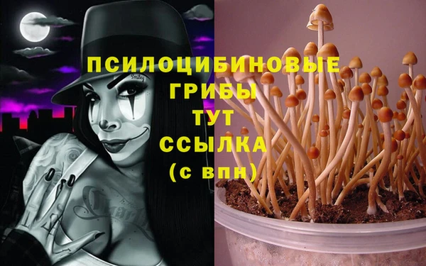 гашик Алзамай